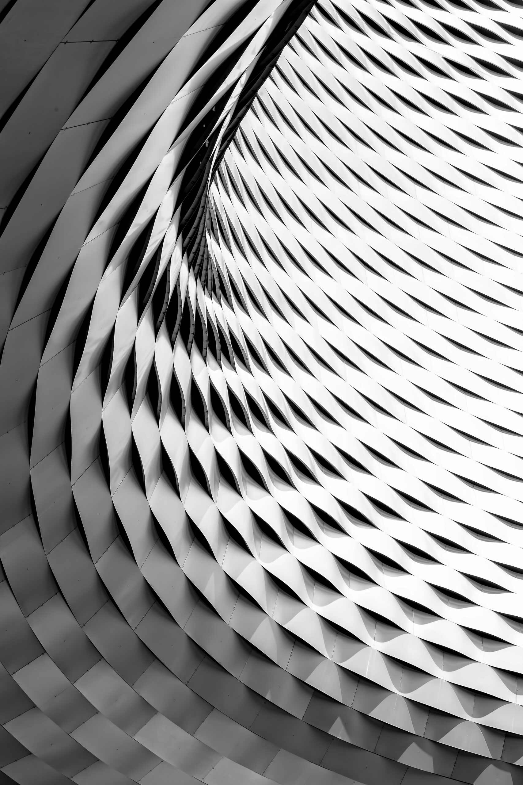 ricardo-gomez-angel-5YM26lUicfU-unsplash